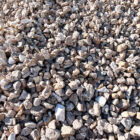 ozark rock