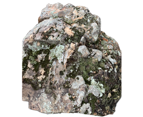 Moss Boulders