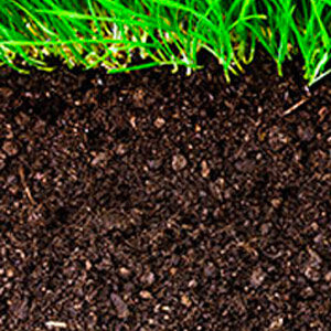 Bagged & Bulk Top Soil