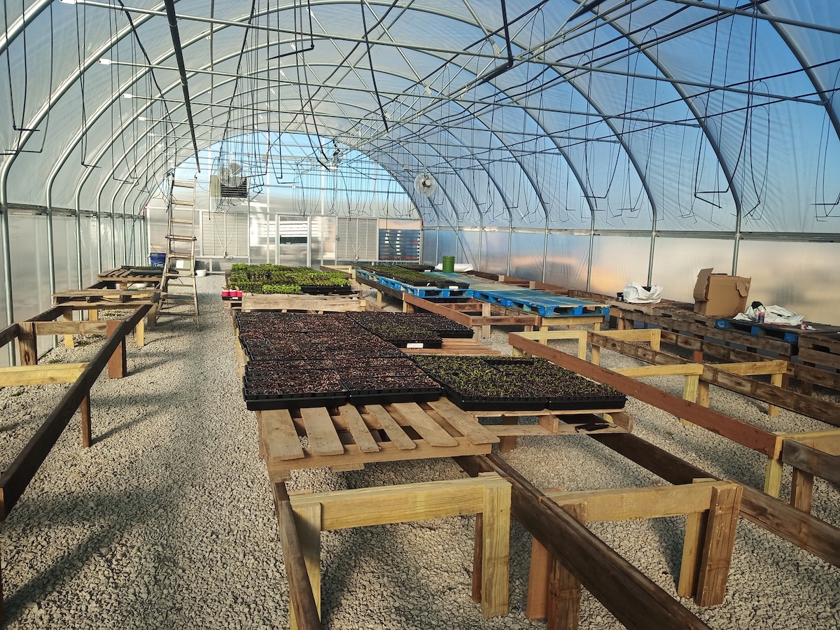 Greenhouse Center Independence MO