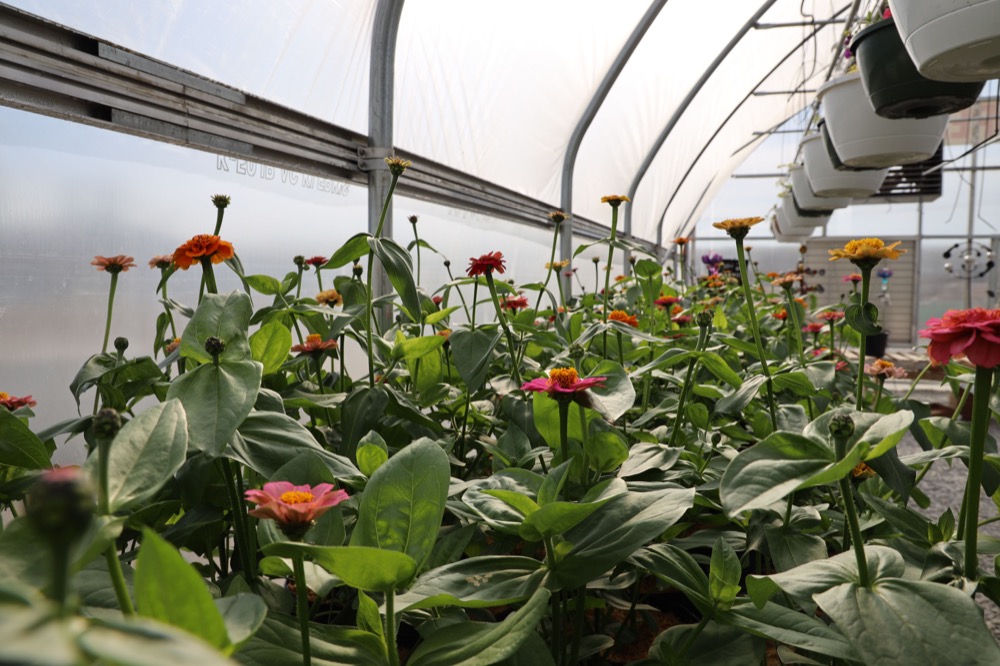 Greenhouse Center Independence MO