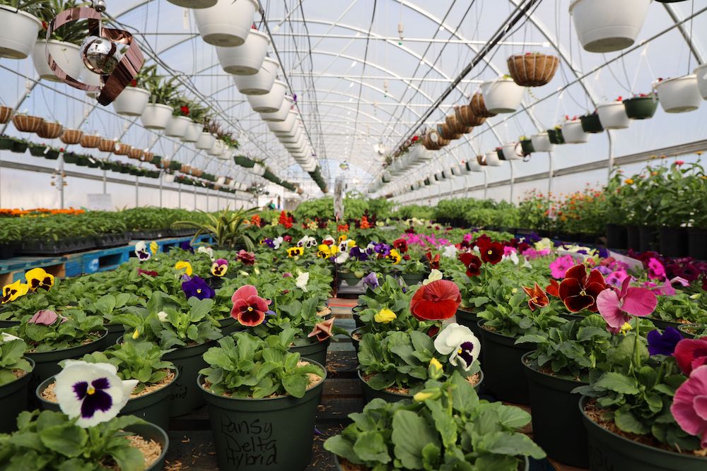 Our Garden Center - Kansas City's Newest Greenhouse